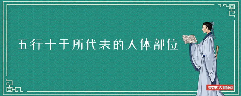 五行十干所代表的人体部位