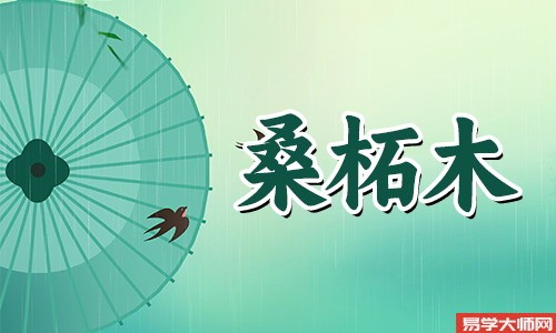 桑柘木命的人命中带偏官运会怎样，婚后易出轨？